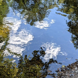 Pode incluir: Um close-up de um corpo de água parada que reflete o céu e as árvores. A água é clara e você pode ver o fundo, que é coberto por pequenas pedras.