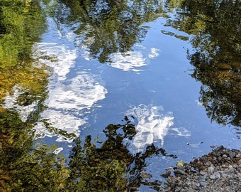 Landscape: Creek, Pond, Fall, Monet, Four Mile Run