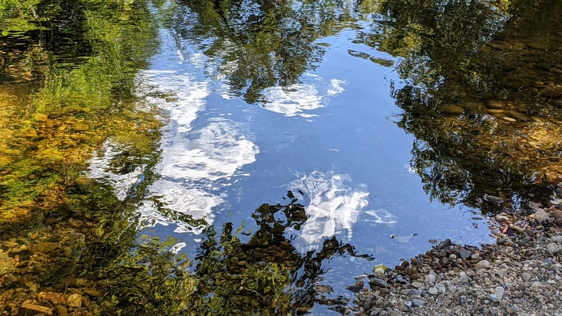 Landscape: Creek, Pond, Fall, Monet, Four Mile Run image 1