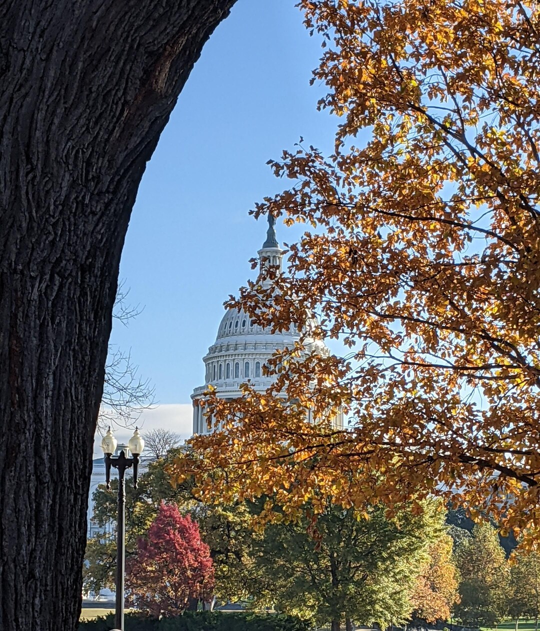 Fall Dc Monuments Monuments: US Capitol, Washington DC, Fall, Autumn, National Mall ...