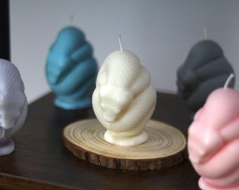 Hand-Poured Customisable Scented Snake Candle Made with Natural, Eco-Friendly Wax. Snake loves gifts.