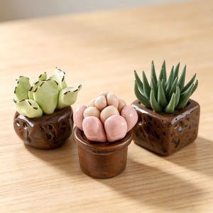 Handmade Ceramic Succulent Figurine Set, Mini Cactus Desk Decor, Tiny Pottery Plant Ornament, Boho Shelf Decor Gift for Plant Lover