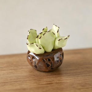 May include: A small ceramic succulent sculpture featuring pale lime green leaves with dark brown edges, potted in a round, textured, dark brown glazed ceramic container with a glossy finish and irregular, dimpled surface details.