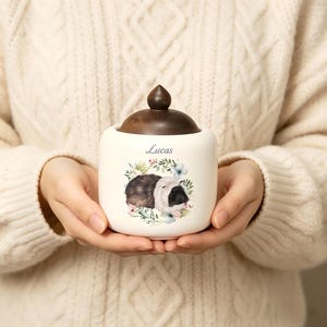 Custom Pet Urn, Personalized Ceramic Dog Urn, Mini Memorial Keepsake for Small Pets, Sympathy Remembrance Gift