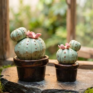 Set de mini figuras de cactus de cerámica hechas a mano, regalo para mamá y amigas, pequeña suculenta en maceta, decoración bohemia para estantes y escritorios, regalo para amantes de las plantas