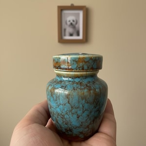 May include: A small ceramic jar with a lid, in turquoise with brown marbling. The lid matches the jar's colour scheme. The jar is held in a hand, with a framed black and white photo of a dog in the background.