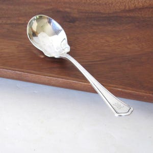 May include: A silver spoon with a rounded bowl and a long, slender handle. The handle has a decorative design at the end. The spoon is resting on a dark wooden surface.