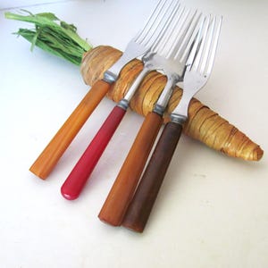 May include: Four stainless steel forks with solid, smooth handles in varying shades of orange, red, light brown, and dark brown. The forks are arranged in a row, resting diagonally across a decorative, textured, carrot-shaped object.