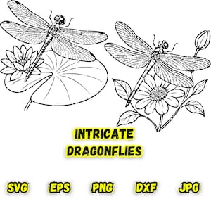 Pacote de 2 designs realistas de libélula SVG | Pronto para download instantâneo com laser e máquina de corte | Natureza SVG | Inseto SVG | Clipart de libélula