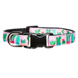 Cat Collar - &quot;The Can&#39;t Touch This&quot; - Cactus Succulent Print