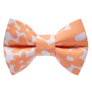 Pajarita para gato, &quot;El niño salvaje&quot;, Pajarita floral crema para collar de gato, Verano, Retro, Gato, Gatito + Pajarita para perro pequeño