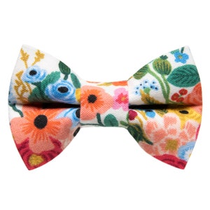 Pajarita para gato - &quot;The Pathfinder&quot; - Floral Rifle Paper Co Fabric