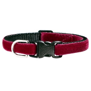 May include: A burgundy velvet cat collar with a black plastic buckle and a silver metal D-ring.