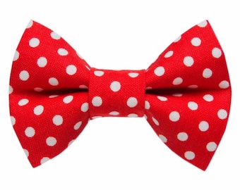 Cat Bow Tie - "The New Apprentice"  - Red with White Polka Dot
