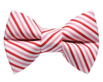 Cat Bow Tie - "The Made You Look" - White Pink Red Diagonal Stripe Valentines Day Print