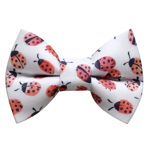 May include: White bow tie with a pattern of red and black ladybirds.