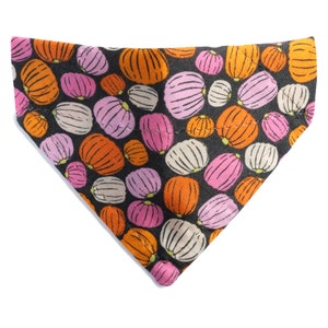 Cat Bandana - &quot;The Patch You Later&quot; - Halloween Pumpkin Print Bandana for Cat + Small Dog / Black, Orange, Pink / Over-the-Collar Bandana
