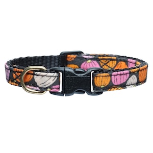 Cat Collar - &quot;The Patch You Later&quot; -  Breakaway / Pumpkin Print, Halloween, Fall, Black, Orange, Pink / Cat + Kitten