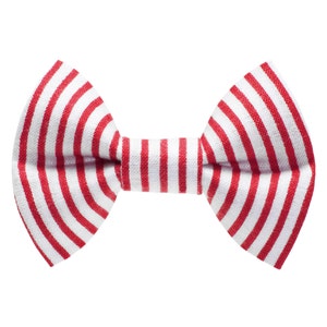 Cat Bow Tie - "The Clambake" - Red/ White Stripes