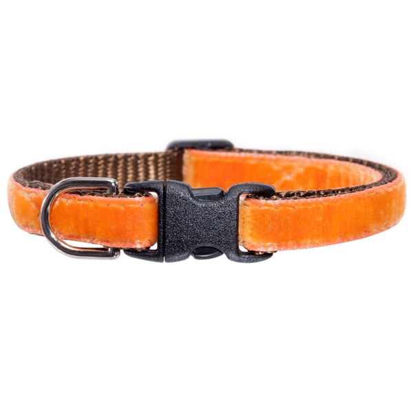 Cat Collar - "The Austin Pickles"  - Orange Velvet