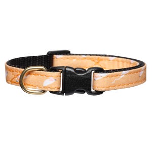 Könnte beinhalten: Ein hellorangenes Katzenhalsband mit weißem Muster und einer schwarzen Kunststoffschnalle.