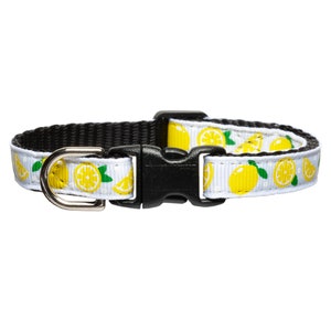 Cat Collar - &quot;The Citrus Got Real&quot; -  Breakaway / Lemon, Yellow, Fruit, Summer Print / Cat + Kitten