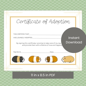 Certificado de adopción de conejillo de indias (descarga digital)