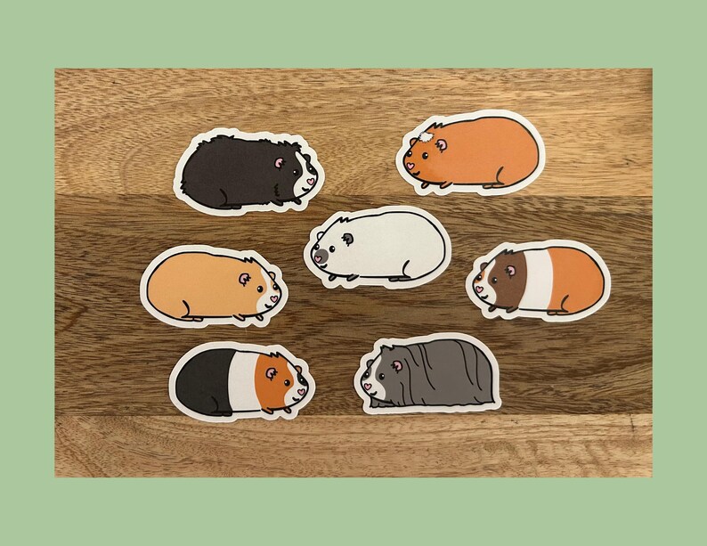 May include: A collection of seven guinea pig stickers in various colors and patterns. The stickers feature cartoon illustrations of guinea pigs in shades of black, brown, white, and orange. Each sticker has a white border and is set against a wooden background.