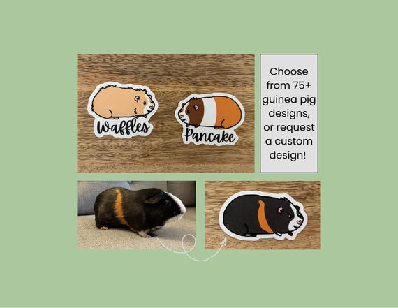 Custom Guinea Pig Sticker: Personalized Pet Portrait (Made with 100% Recycled Sticker Paper)