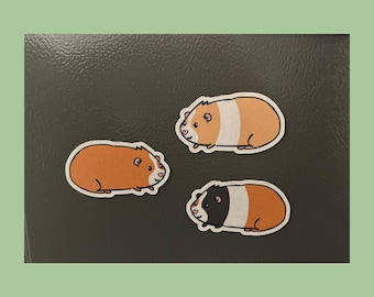 Meerschweinchen-Magnet-Set: Laminierte Kühlschrank-Aufkleber (3er, 7er und 14er Pack)