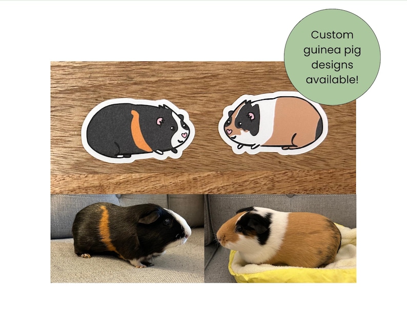 May include: Two guinea pig stickers and two guinea pigs are shown. The stickers are cartoon illustrations of guinea pigs, one black with an orange stripe and the other brown and white. The text "Custom guinea pig designs available!" is in a green circle.