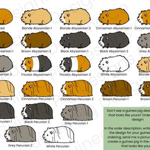 Custom Guinea Pig Sticker: Personalized Pet Portrait (Made with 100% Recycled Sticker Paper) image 9