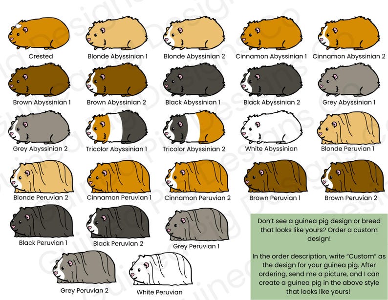 Custom Guinea Pig Sticker: Personalized Pet Portrait (Made with 100% Recycled Sticker Paper) image 9