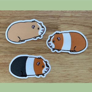 Guinea Pig Sticker Pack - Laminated Guinea Pig Stickers Packs of 3, 7, or 14 - Made from 100% Recycled Sticker Paper