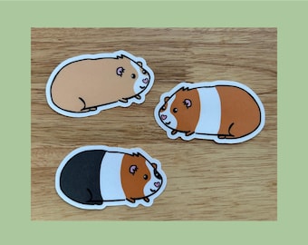 Guinea Pig Laminated Sticker Set (3, 7, or 10 pack, made with 100% recycled sticker paper)