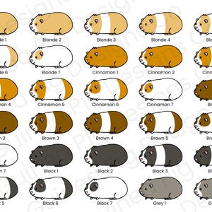 Custom Guinea Pig Sticker: Personalized Pet Portrait (Made with 100% Recycled Sticker Paper) image 7
