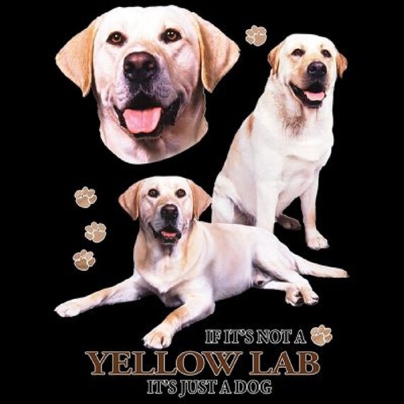 Yellow Lab Size Chart