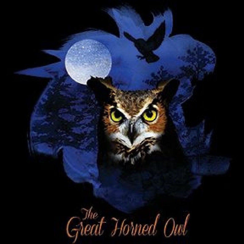 V Neck Top Womens Short Sleeve Birds of Prey Great Horned Owl 20893