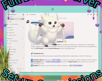 Discord Server Setup Commission