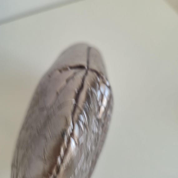 Vintage Silvano Biagini Silver Python Leather Sho… - image 4