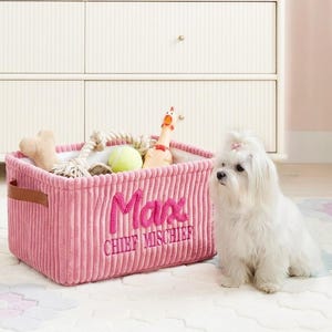 May include: A pink corduroy pet toy basket with the name "Max" embroidered on the front, filled with dog toys. A white dog with a pink bow sits beside the basket. The words "Chief Mischief" are embroidered below the name.