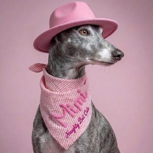 May include: A grey brindle dog wearing a pink fedora hat and a pink and white striped bandana. The bandana features the embroidered text "Mimi" in large pink script and the printed text "Naughty But Cute" in smaller pink lettering below it.
