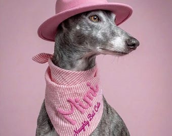 Personalized Dog Bandana and Matching Scrunchie Set, Custom 3D Embroidered Pet Scarf, Dog Mom Gift, Seersucker Puppy Bandana, Pet Lover Gift