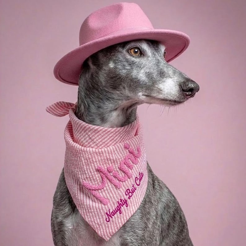 May include: A grey brindle dog wearing a pink fedora hat and a pink and white striped bandana. The bandana features the embroidered text "Mimi" in large pink script and the printed text "Naughty But Cute" in smaller pink lettering below it.