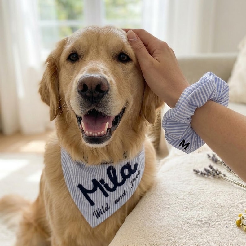 May include: A light blue and white pinstriped pet bandana featuring the embroidered name Mila and the text Wild and free, paired with a matching pinstriped hair scrunchie that has the letter M embroidered in black thread on the fabric.