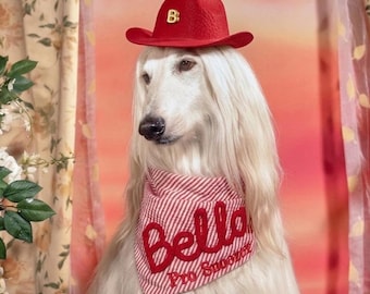Conjunto personalizado de sombrero vaquero y pañuelo para perro, sombrero fedora de fieltro personalizado para mascota con inicial, bufanda bordada con nombre en cuerda 3D, accesorio para fotos de perros de razas grandes