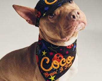 Disfraz de perro para Halloween, conjunto de pañuelo y visera de fantasma para perro, ropa espeluznante para mascotas, bufanda para cachorro bordada en 3D con nombre personalizado, lindo disfraz de truco o trato.