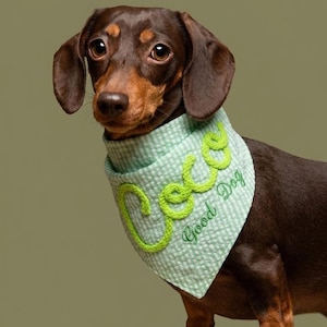 May include: A brown and black dachshund wearing a light green gingham dog bandana. The bandana features the name Coco in large, raised, lime green textured lettering, with the words Good Dog embroidered in a smaller, darker green script font.