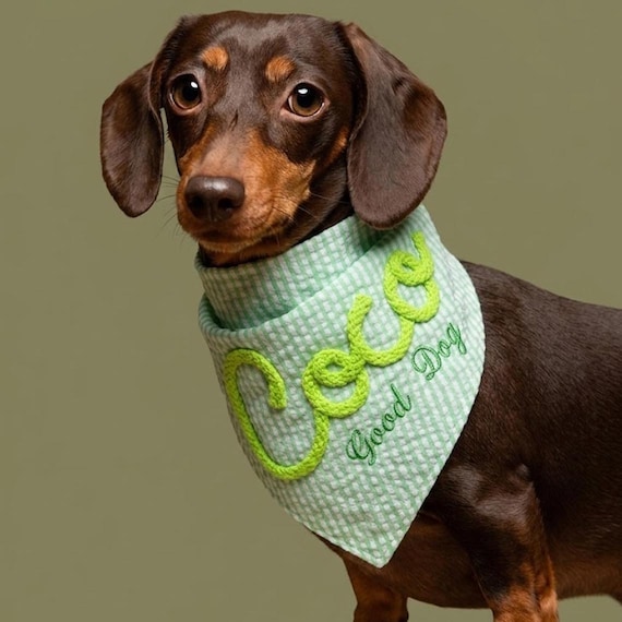 Personalized Dog Bandana, Custom 3D Rope Name & Flat Embroidery Scarf, Gingham Pet Gift for Dog Birthday, Cute Dog Mom Gift, Puppy Accessory
