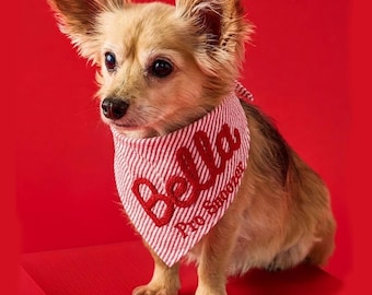 Pañuelo personalizado para perro / Nombre personalizado en cuerda 3D y bordado plano / Regalo para mamás perrunas / Bufanda personalizada para mascotas / Accesorio de cumpleaños para perros